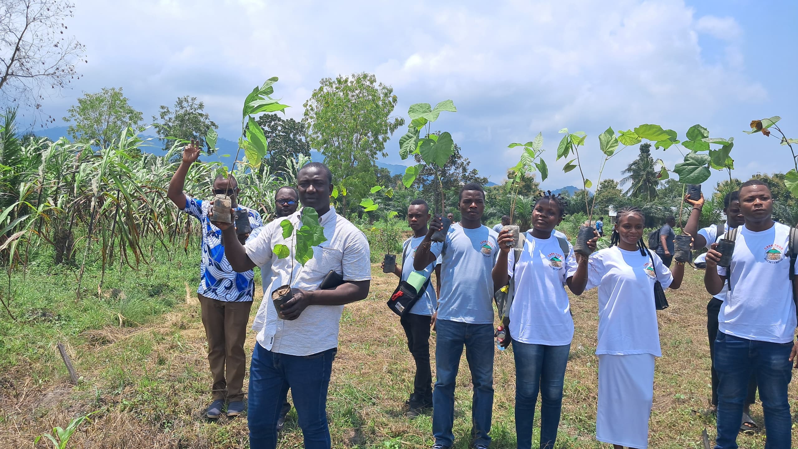 Des arbres pour Kpalimé