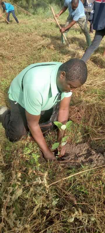 © CASE TOGO-Amis de la Nature