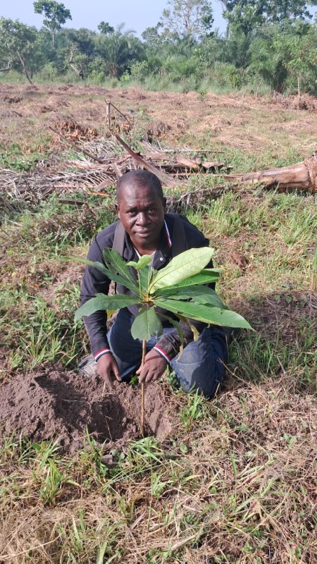 © CASE TOGO-Amis de la Nature