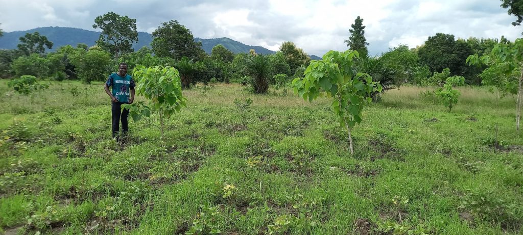 © CASE TOGO-Amis de la Nature